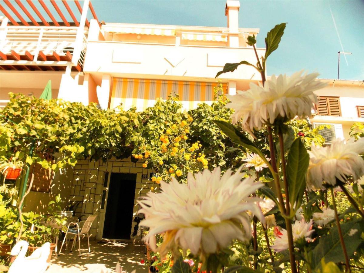Guesthouse Jenny (Adults Only) نوفاليا المظهر الخارجي الصورة